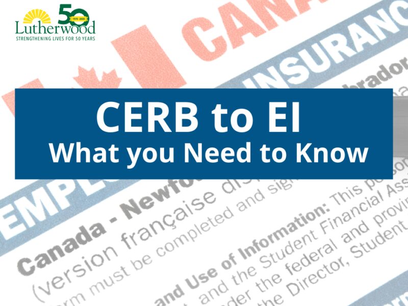 Cerb To Ei – What You Need To Know