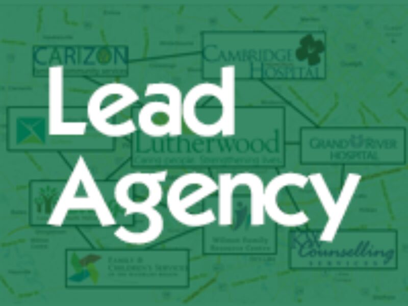 Lead agency