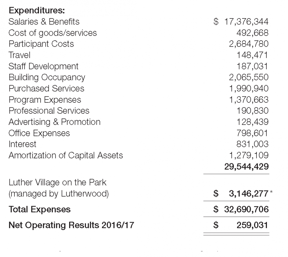 Lutherwood 2017 Revenue To Fit