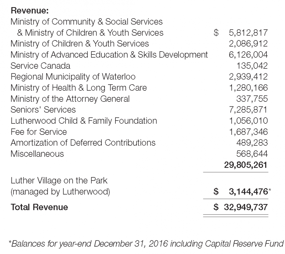Lutherwood 2017 Revenue